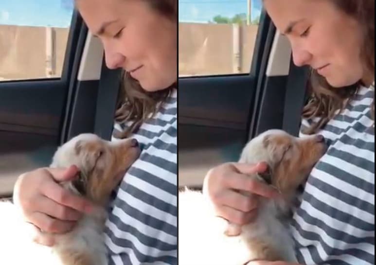 El video se hizo viral rápidamente en Facebook. (CAPTURA)