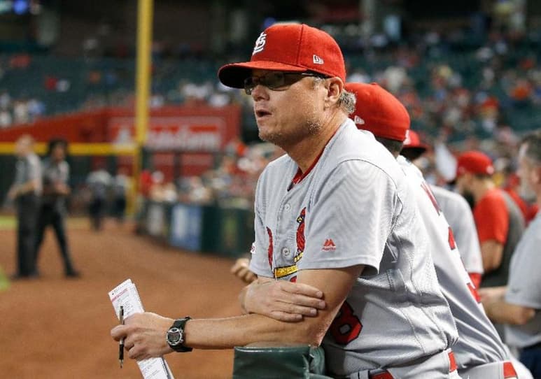 En su primer año completo con los Cardenales de San Luis, Mike Shildt llevó al equipo a ganar su división. (AP)