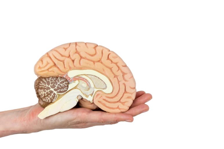 Las personas con cáncer pueden tener mayores probabilidades de morir por un derrame cerebral. (ARCHIVO)