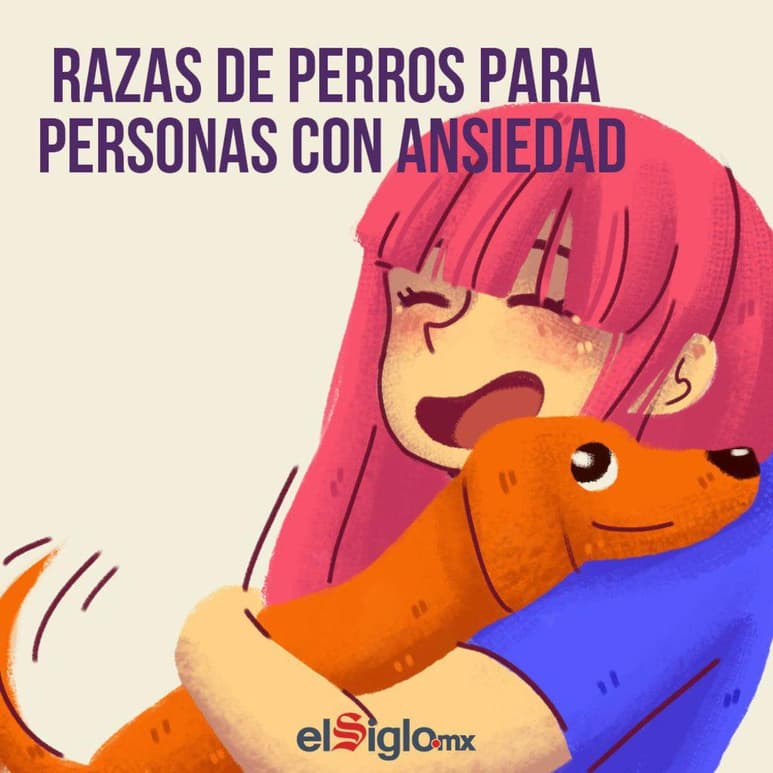 Algunos de ellos suelen ser más tranquilos que otros, incluso otros llegan a estimular actividades en tu vida cotidiana que se volverían más pesadas sin un incentivo. (EL SIGLO DE TORREÓN)