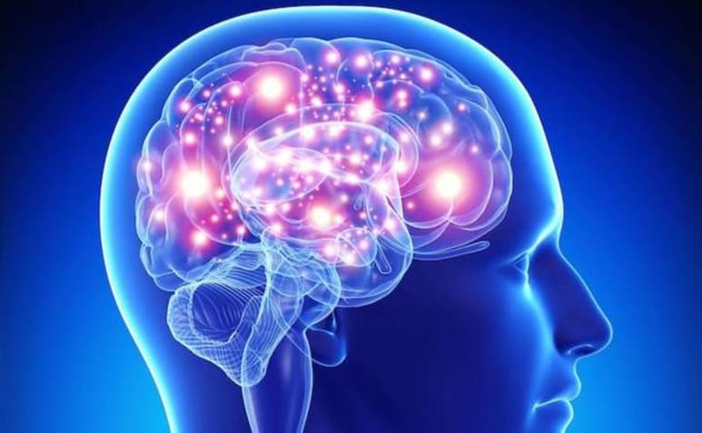 Las hormonas son sustancias químicas que produce el cuerpo, son las mensajeras que viajan a través de las vías sanguíneas para hacer una función coordinada en los órganos y tejidos.