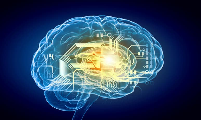 Los cerebros de adultos de entre 37 a 55 años podrían estar envejeciendo de manera precoz si tienen obesidad. (ARCHIVO)