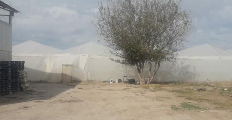 La mañana de este miércoles se registró el hallazgo de de una persona del sexo masculino sin vida en el municipio de Tlahualilo, Durango. (EL SIGLO DE TORREÓN)