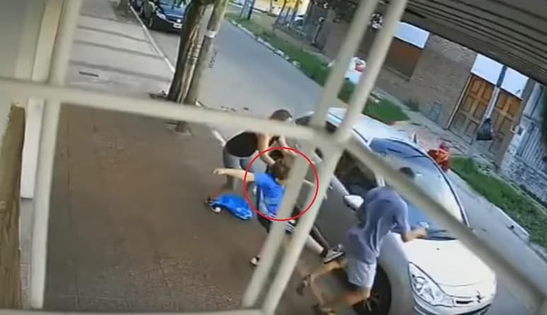 El niño arremetió con una pata en contra de uno de ellos intentando defender a su madre (INTERNET)