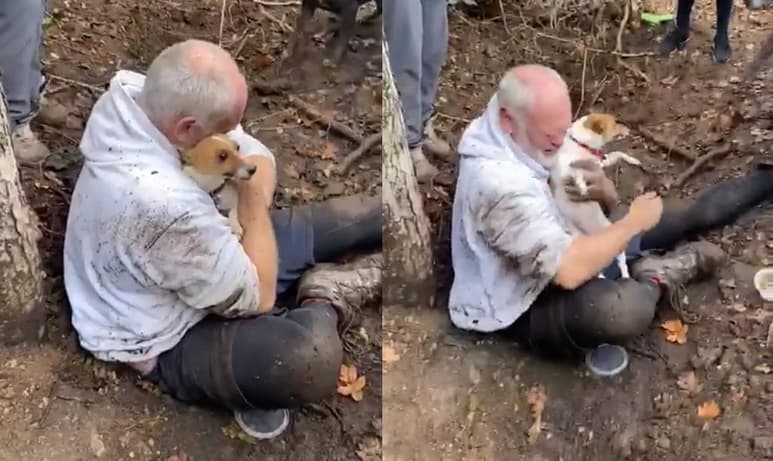 La perrita recibió la atención médica necesaria tras su rescate (INTERNET) 