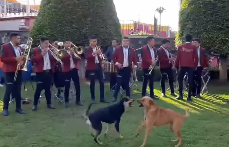 El material ha conseguido más de 2 millones de reproducciones en Facebook.