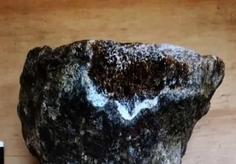 Encuentran en Ecuador varias piezas fosilizadas de un dinosaurio enano que habitó este territorio en el periodo cretácico. (ARCHIVO)