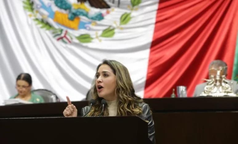La legisladora veracruzana, Anilú Ingram Vallines, se congratuló por la aprobación de la iniciativa para fortalecer los procedimientos, mecanismos e instrumentos en materia de Alerta de Violencia de Género. (EL UNIVERSAL)