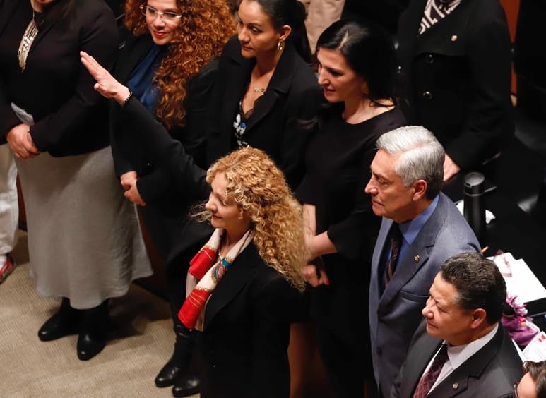 La abogada Mara Gómez Pérez fue electa por el Senado para estar al frente de la Comisión Ejecutiva de Atención a Víctimas. (AGENCIAS)
