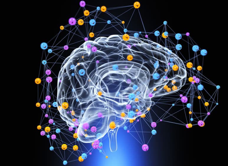 El estudio más extenso hasta ahora del vínculo entre el desarrollo cerebral y la salud infantil ofrece nuevos ángulos. (ARCHIVO)