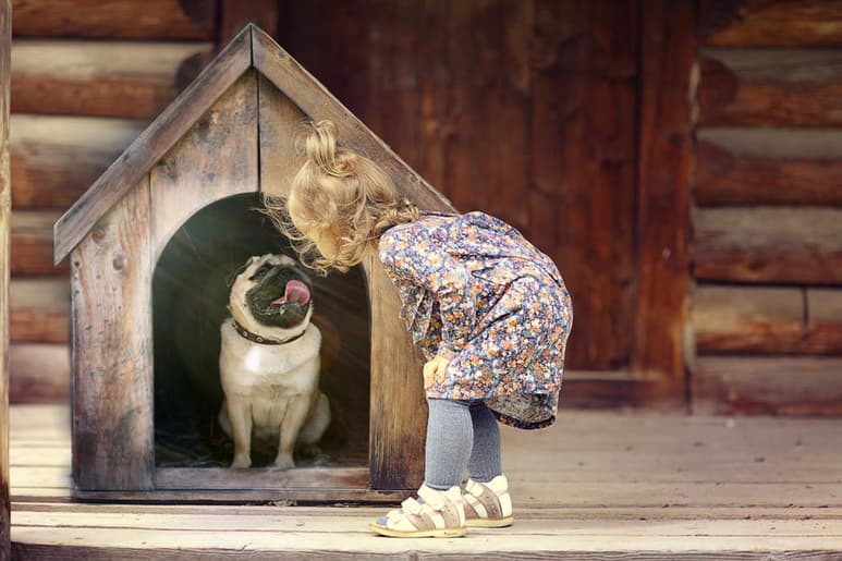 La influenza canina se trata de una mutación de la influenza A, que resultaría mortal para los humanos. (ARCHIVO)