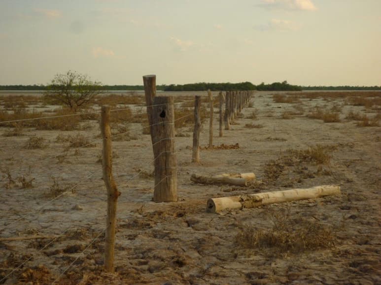 La deforestación en la Amazonía brasileña creció un 103.7 % en noviembre, en comparación con el mismo período de 2018. (ARCHIVO) 