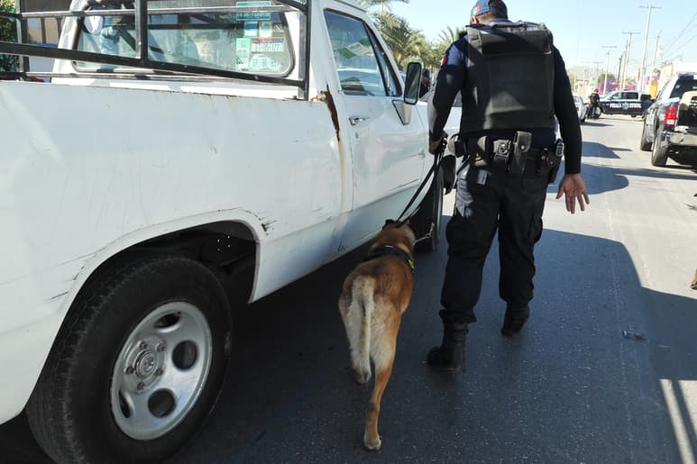 Refuerzan la estrategia de seguridad con un escuadrón canino y se amplía el número de elementos del grupo de reacción. (ARCHIVO)
