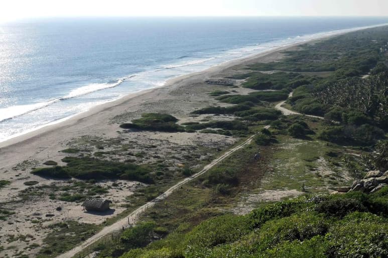Un grupo de habitantes de la agencia Chacahua del municipio Villa de Tututepec, en la Costa de Oaxaca, ha fraccionado y repartido la playa conocida como San Juan, a la que arriban miles de tortugas cada año y que forma parte del área nacional protegida Lagunas de Chacahua. (EL UNIVERSAL)