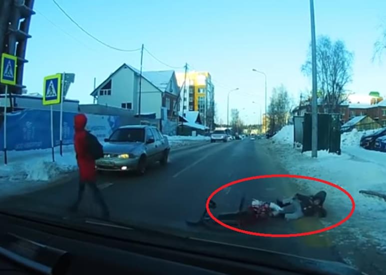 Los jalaba de un trineo y sólo volteó la vista hasta que alguien le tocó el claxon. (INTERNET)