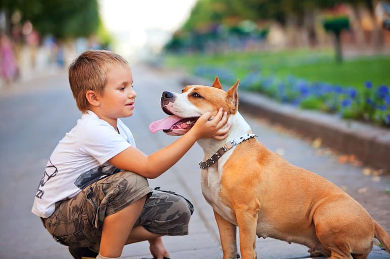 Las personas expuestas a un perro como mascota antes de cumplir 13 años tienen hasta 24 por ciento menos probabilidades de ser diagnosticadas con esquizofrenia. (ESPECIAL)