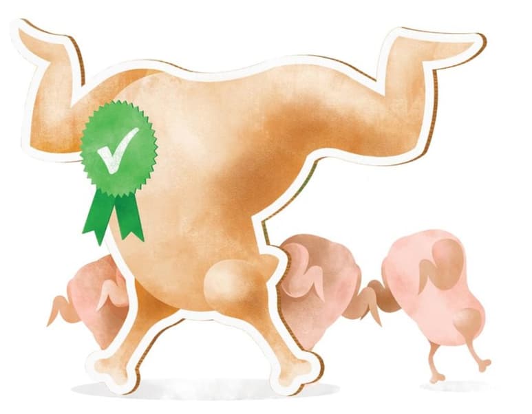 Para que un producto se considere orgánico debe tener una certificación de la Secretaría de Agricultura (Sagarpa) o del Departamento de Agricultura de Estados Unidos (USDA, por sus siglas en inglés). (AGENCIAS)