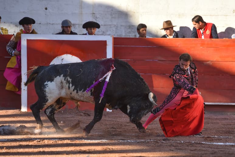 Pese a su buena actuación, Jorge Sotelo fue cuestionado por cierto sector de los amantes de la tauromaquia presente en la Plaza de Toros Alberto Balderas de ciudad jardín. (Fotografía de Ernesto Ramírez)