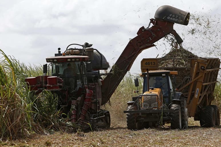 A pesar de que en los últimos cinco años hubo productores estadounidenses que cuestionaron el acuerdo, actualmente ya existe conformidad. (ARCHIVO)