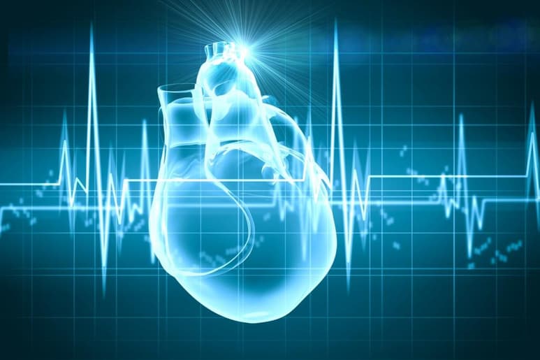 Un dispositivo elástico activado por vibración con aplicaciones para tecnología de atención médica fue desarrollado por expertos del Instituto Nacional de Ciencia de Materiales. (ARCHIVO)