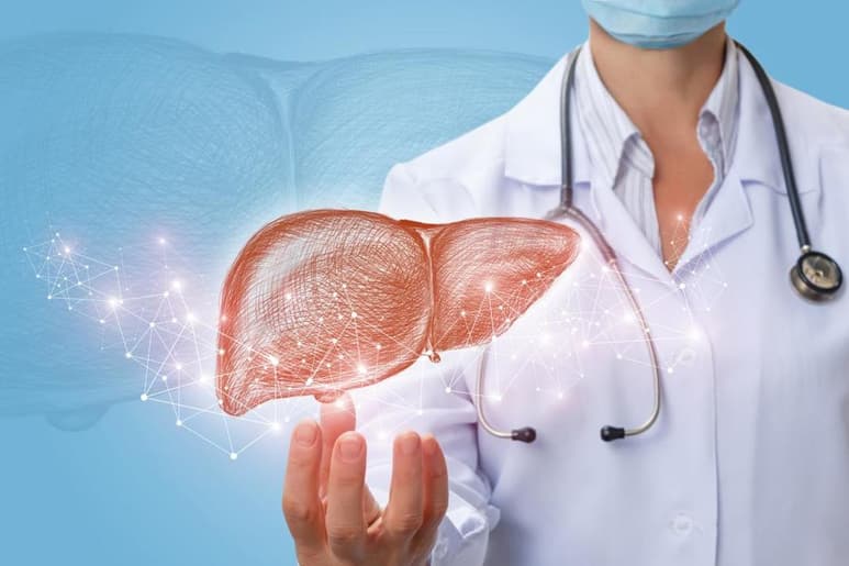 Mediante estudios en ratones encontraron que la proteína GDF11 abate la proliferación exacerbada de las células cancerosas. (ESPECIAL)