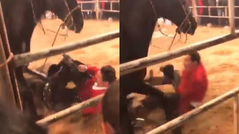 José Manuel Figueroa sufrió una aparatosa caída de su caballo, al reventarse la montura durante el concierto que ofreció en Texcaltitlán. (ESPECIAL)