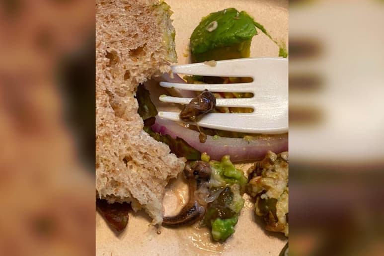 Ella dice que no es la primera vez que la tienda recibe quejas por insectos en la comida. (INTERNET)