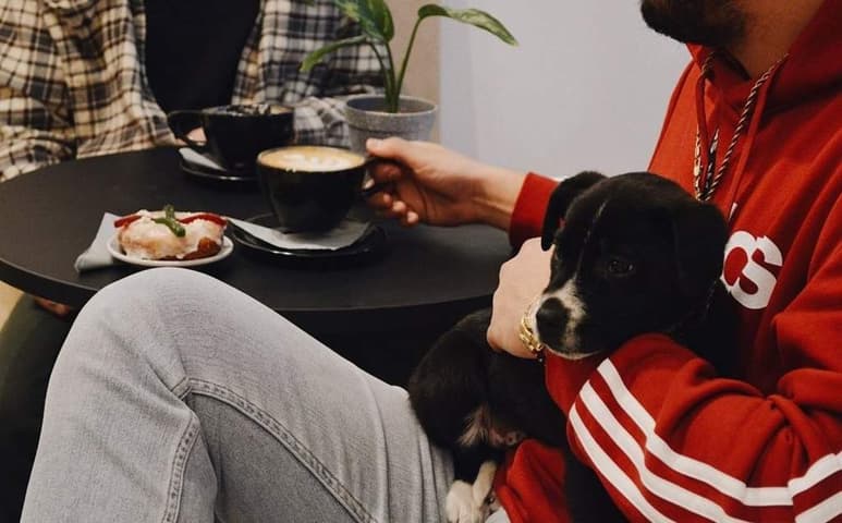 La tendencia ‘pet friendly’ ha tomado tanta fuerza en los últimos años, que los hoteles, restaurantes y diversos establecimientos han tenido que modificar sus políticas para ser parte de este nuevo estilo de vida que llegó para quedarse. (ESPECIAL)
