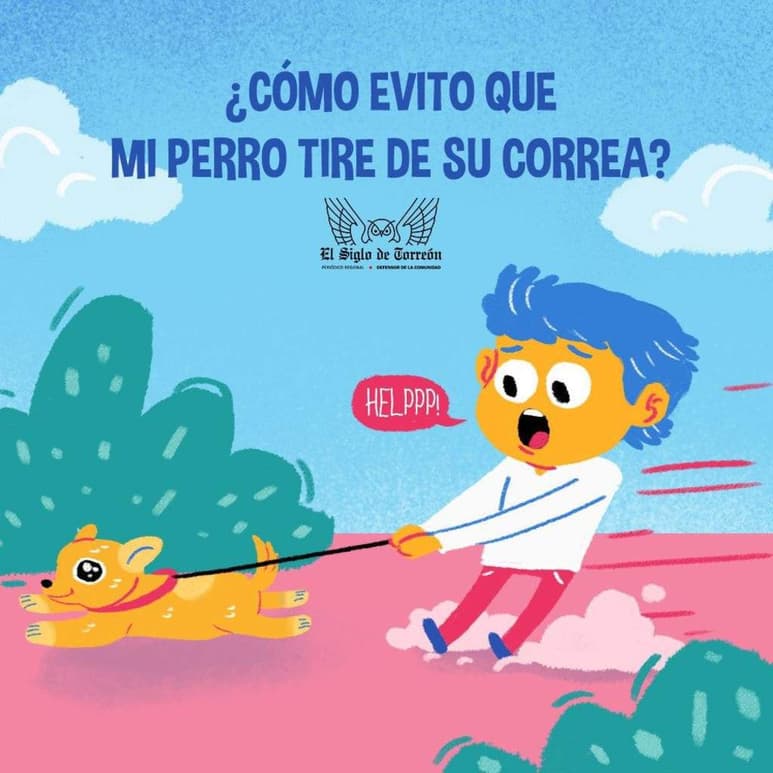 Si tu perro tiene la costumbre de jalar la correa cuando van de paseo, puede ser una señal de alerta para cambiar aspectos en su rutina que pueda afectar su comportamiento hasta el punto de volverlo incorregible.  (EL SIGLO DE TORREÓN) 
