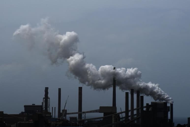 Donald Trump propuso el jueves reducir drásticamente el poder supervisor de una ley ambiental. (ARCHIVO)