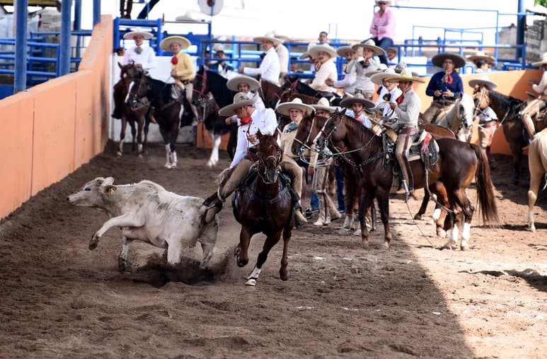 Colas, piales, manganas, jineteo, el siempre espectacular paso de la muerte, son algunas de las suertes que se ejecutarán el domingo. (ARCHIVO)
