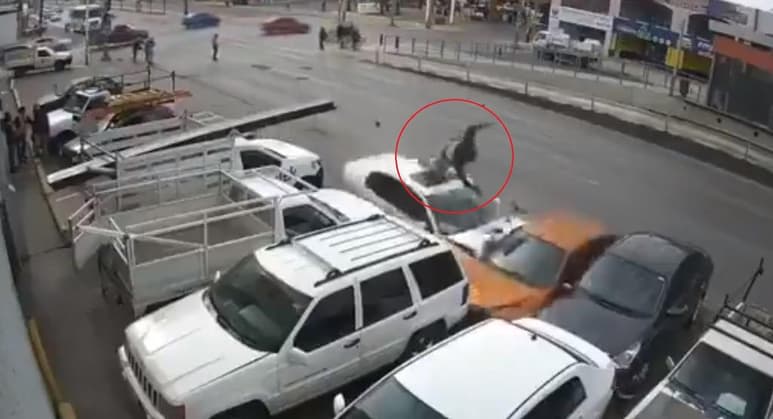 Captura de pantalla del material compartido por Alertas Urbanas AU en Twitter.