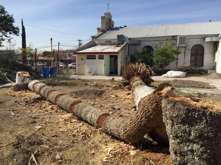 El párroco de la iglesia del Sagrado Corazón de Jesús negó que haya sido sancionado por Medio Ambiente por retirar las palmas. (GUADALUPE MIRANDA)