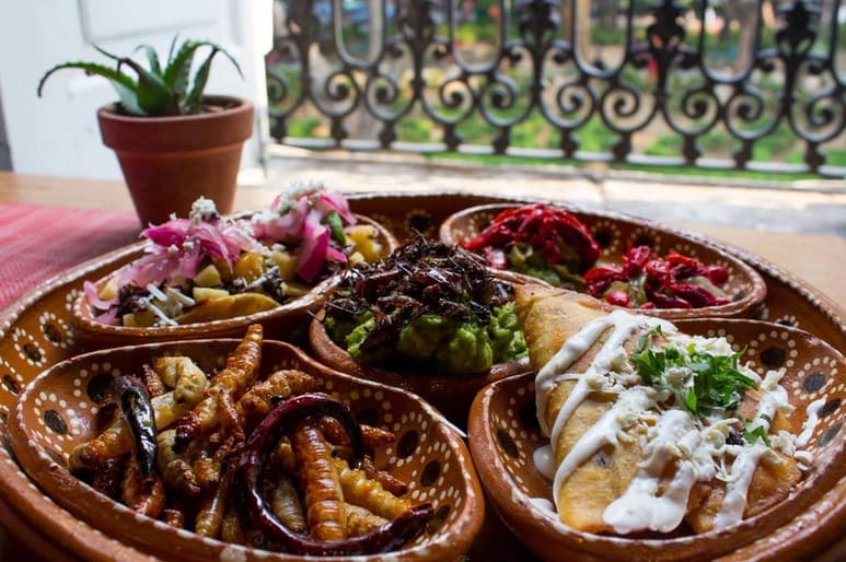 En cada destino los 'foodies' disfrutan los platillos típicos.
