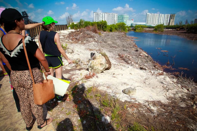 Hoy jueves, hace cuatro años, Cancún amaneció con el polígono de Malecón Tajamar, en la zona centro de la ciudad, totalmente devastado, luego de que maquinaria contratada por el Fondo Nacional de Fomento al Turismo (Fonatur), ingresara durante la madrugada al sitio con apoyo de la policía estatal y municipal, a desmontar la vegetación y a rellenar los humedales. (ARCHIVO)