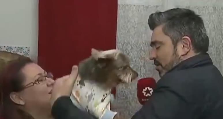 El reportero dijo que el perro se sintió nervioso al ser tomado por él, razón por la que probablemente lo mordió (CAPTURA)