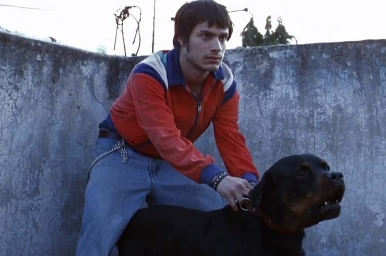 En grande. Amores perros celebrará su 20 aniversario con actividades, estará presente el elenco, equipo creativo y realizadores. (ESPECIAL)