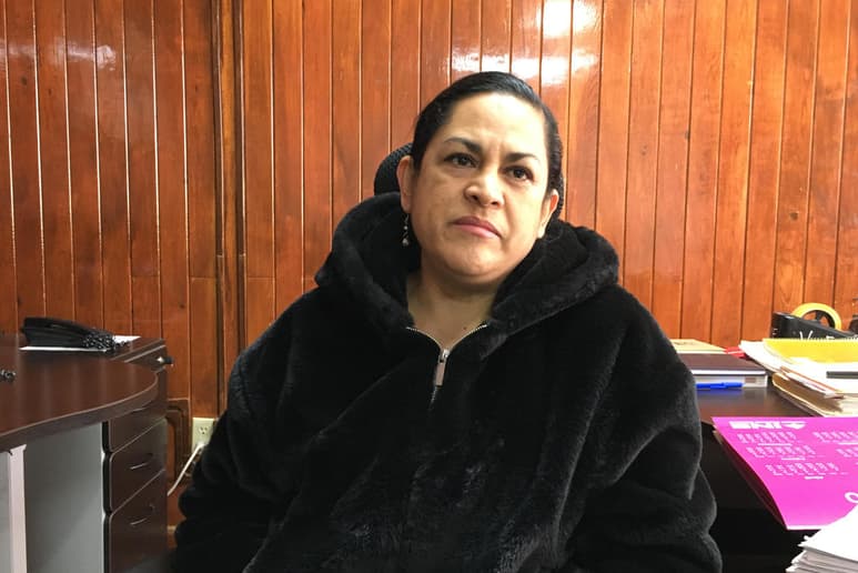 La vocal ejecutiva de la Junta Distrital 05, Karina Hernández Trejo, explicó que las solicitudes de acreditación como Observadores Electorales se reciben ante los consejos locales y distritales desde este momento y hasta el 30 de abril de 2020. (ARCHIVO)