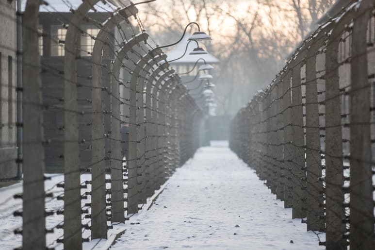 'Yo era más delgado y precisaba menos para sobrevivir', recuerda uno de los últimos supervivientes del campo de concentración de Auschwitz, Ignacy Golik. (ARCHIVO)