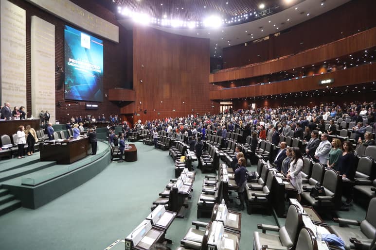La diputada federal del PRD demandó que la CNDH emita un pronunciamiento y defienda a los ciudadanos ante la violencia desatada contra pobladores de Madera, Chihuahua y Chilapa, Guerrero. (ARCHIVO)
