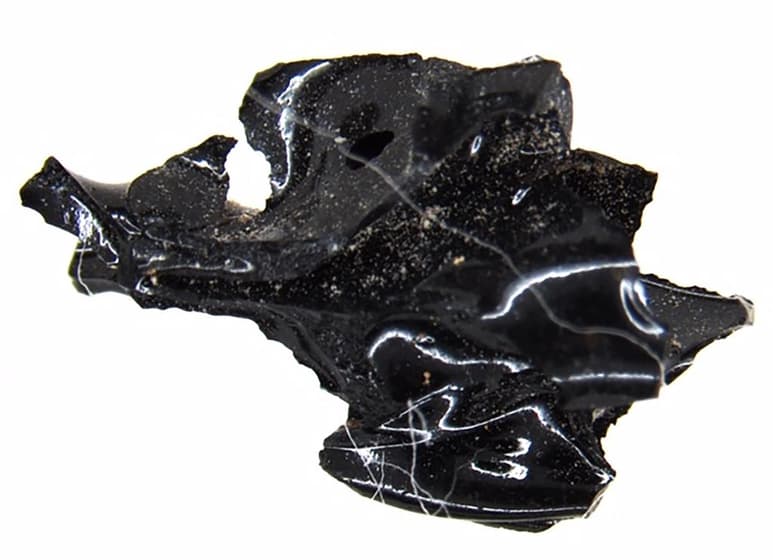 La gran erupción del Vesubio, que hace casi dos milenios sepultó las ciudades de Pompeya y Herculano, provocó unas temperaturas tan altas que el cerebro de una víctima quedó vitrificado. (ESPECIAL)