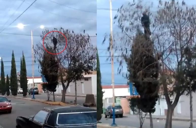 Capturas de pantalla del material compartido por Tiempo y Espacio en Facebook.