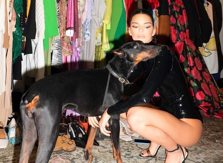 Kendall Jenner se encuentra en el ojo del huracán por el tipo de collar que usa en su mascota. (INSTAGRAM)