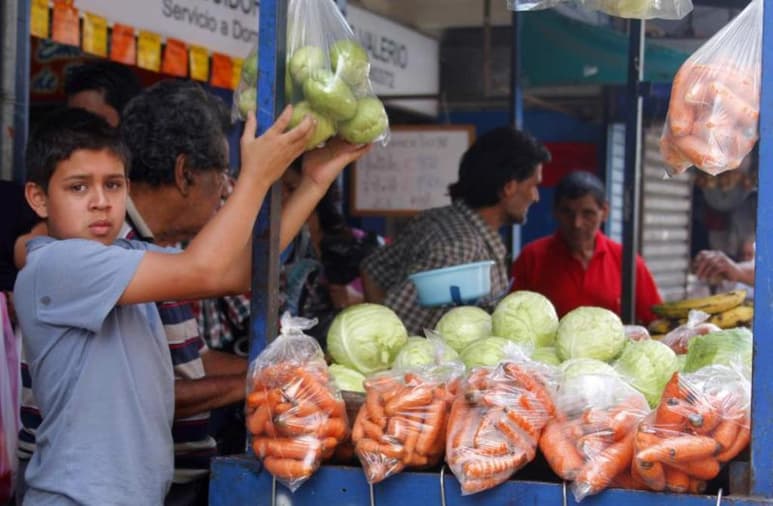 Las principales actividades que realizan estos menores son las agropecuarias, seguidas de las comerciales.