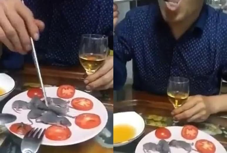 Se presume que la grabación no es reciente (CAPTURA)