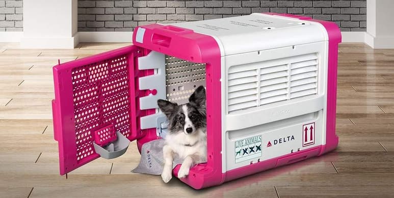 ste transportín fue desarrollado por la línea Delta en colaboración con la empresa CarePod. Gracias a su tecnología hará que tu mascota viaje tranquilo desde la cabina de equipaje evitando complicaciones en el camino. (ESPECIAL)