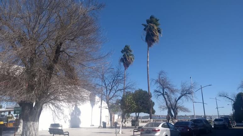 Ante la presencia de fuertes vientos se recomendó cerrar y asegurar puertas, ventanas y toldos. (EL SIGLO COAHUILA)