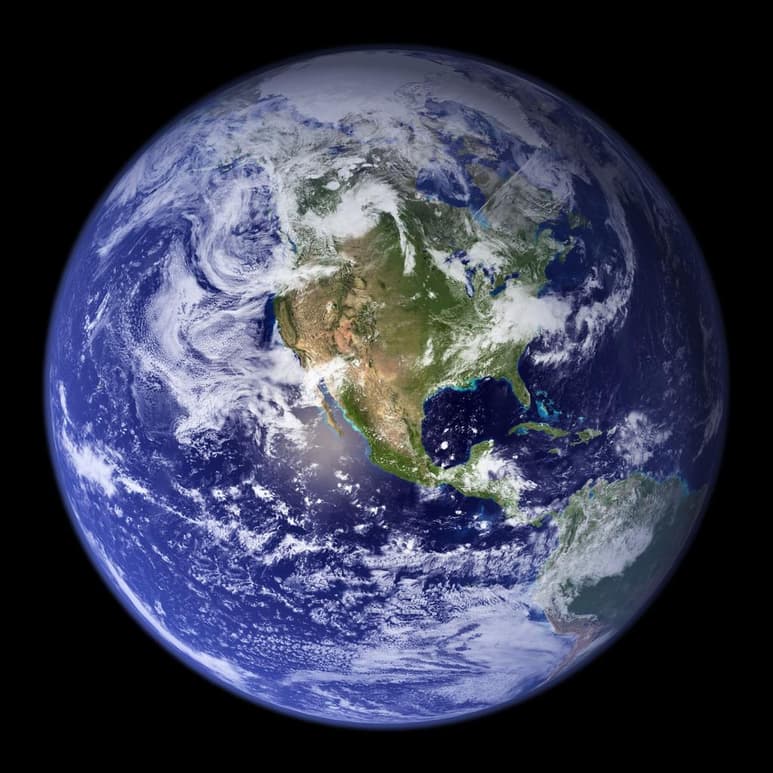 A lo largo de la historia de la humanidad se han suscitado diversas extinciones, todas ellas, por distintos factores como el cambio climático. (ESPECIAL)