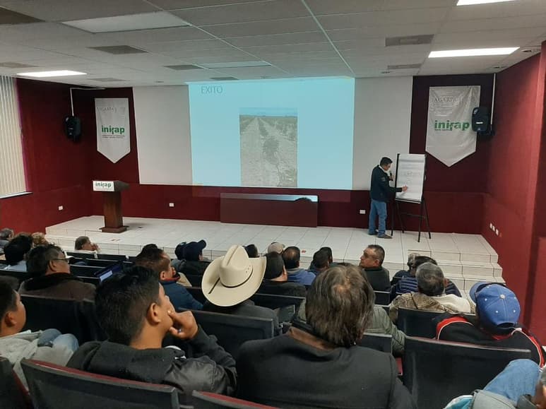 Los productores locales que han apostado por este cultivo son 10 de la región, que pertenecen a municipios como Francisco l. Madero, San Pedro y Matamoros. (EL SIGLO DE TORREÓN)