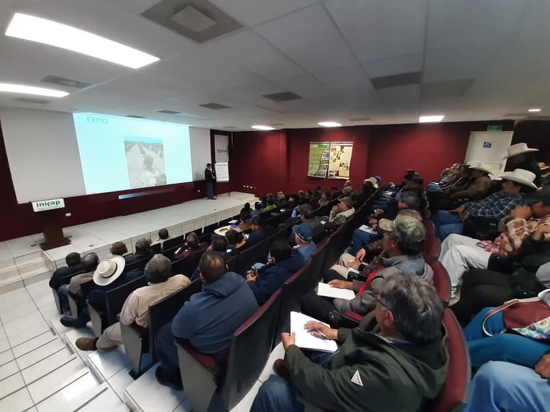 Hay mucho interés entre productores locales, pero requieren de mayor capacitación. (EL SIGLO DE TORREÓN / Diana González)